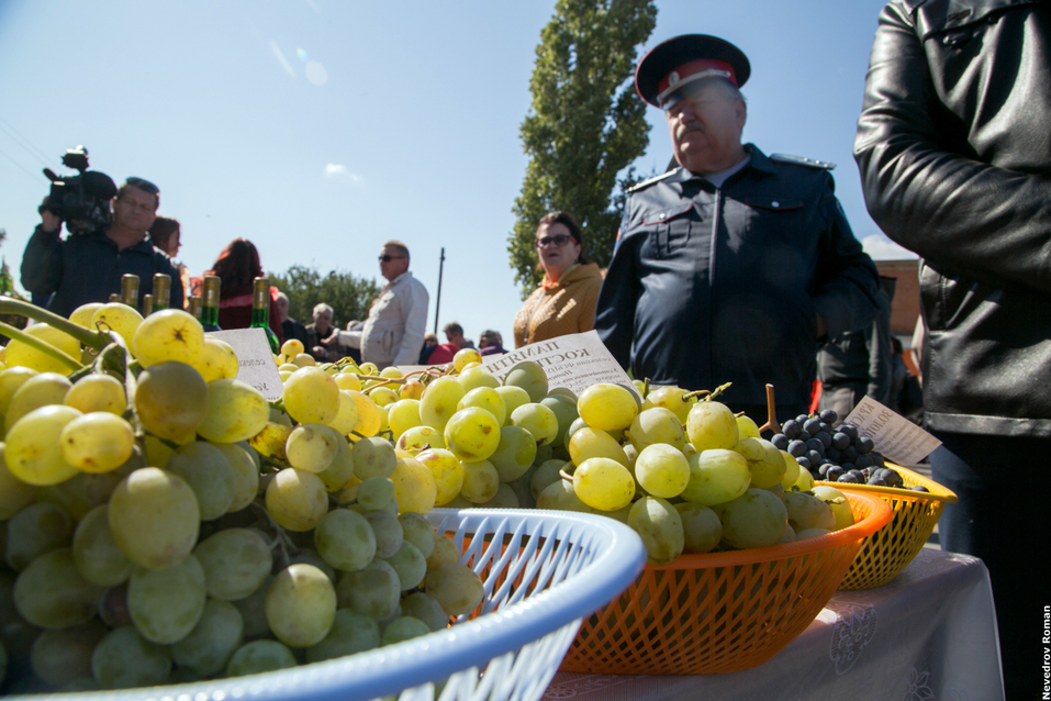 В Ростовской области прошел юбилейный фестиваль "Донская лоза" ФОТОРЕПОРТАЖ 12 В Ростовской области прошел юбилейный фестиваль "Донская лоза" ФОТОРЕПОРТАЖ 12