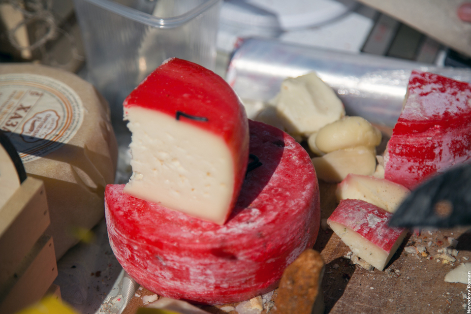 В Ростовской области прошел юбилейный фестиваль "Донская лоза" ФОТОРЕПОРТАЖ 15 В Ростовской области прошел юбилейный фестиваль "Донская лоза" ФОТОРЕПОРТАЖ 15