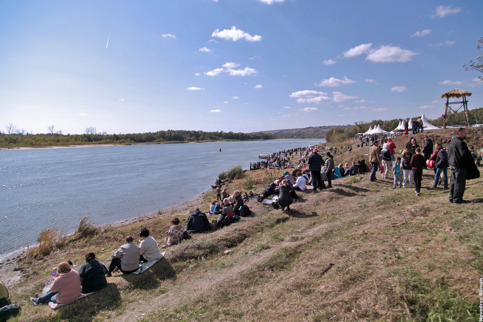 В Ростовской области прошел юбилейный фестиваль "Донская лоза" ФОТОРЕПОРТАЖ 17 В Ростовской области прошел юбилейный фестиваль "Донская лоза" ФОТОРЕПОРТАЖ 17