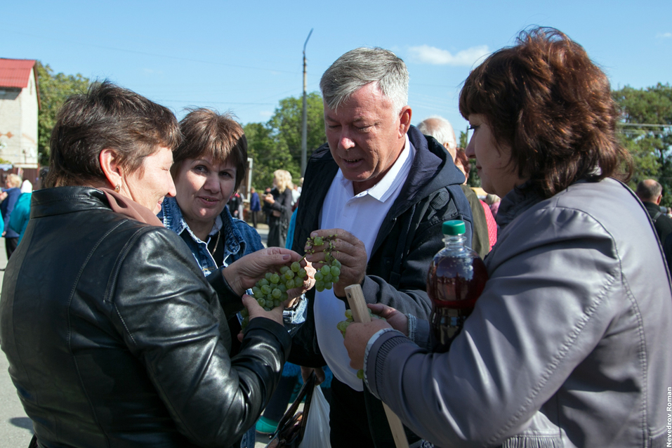 В Ростовской области прошел юбилейный фестиваль "Донская лоза" ФОТОРЕПОРТАЖ 22 В Ростовской области прошел юбилейный фестиваль "Донская лоза" ФОТОРЕПОРТАЖ 22