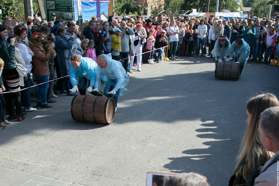 В Ростовской области прошел юбилейный фестиваль "Донская лоза" ФОТОРЕПОРТАЖ 25 В Ростовской области прошел юбилейный фестиваль "Донская лоза" ФОТОРЕПОРТАЖ 25