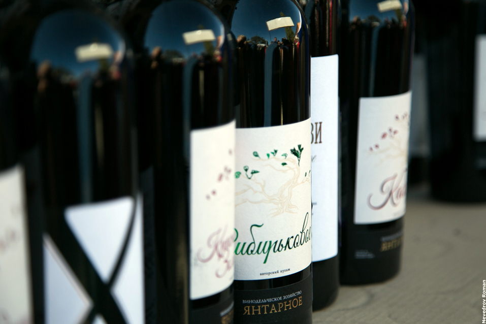 В Ростовской области прошел юбилейный фестиваль "Донская лоза" ФОТОРЕПОРТАЖ 26 В Ростовской области прошел юбилейный фестиваль "Донская лоза" ФОТОРЕПОРТАЖ 26