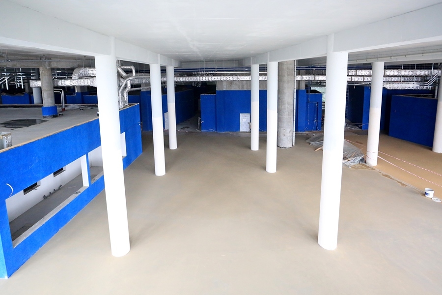 На нижегородском стадионе завершена прошивка газона 5 На нижегородском стадионе завершена прошивка газона 5