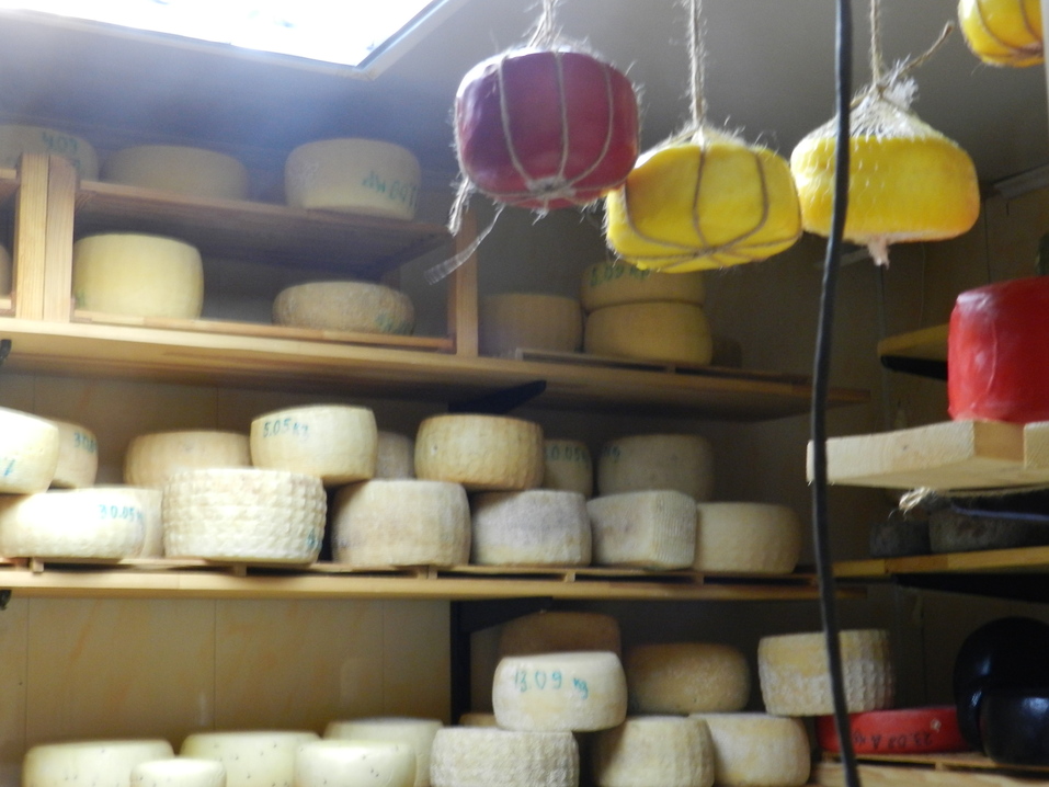 Ирина Бакач, сыроварня «Вилладжио»: «Мы не хотим называться бизнесом, это не про ремесло» 4 Ирина Бакач, сыроварня «Вилладжио»: «Мы не хотим называться бизнесом, это не про ремесло» 4