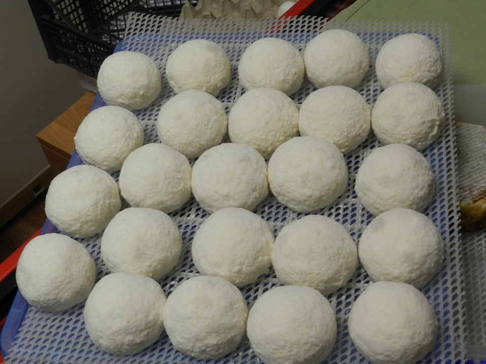 Ирина Бакач, сыроварня «Вилладжио»: «Мы не хотим называться бизнесом, это не про ремесло» 5 Ирина Бакач, сыроварня «Вилладжио»: «Мы не хотим называться бизнесом, это не про ремесло» 5