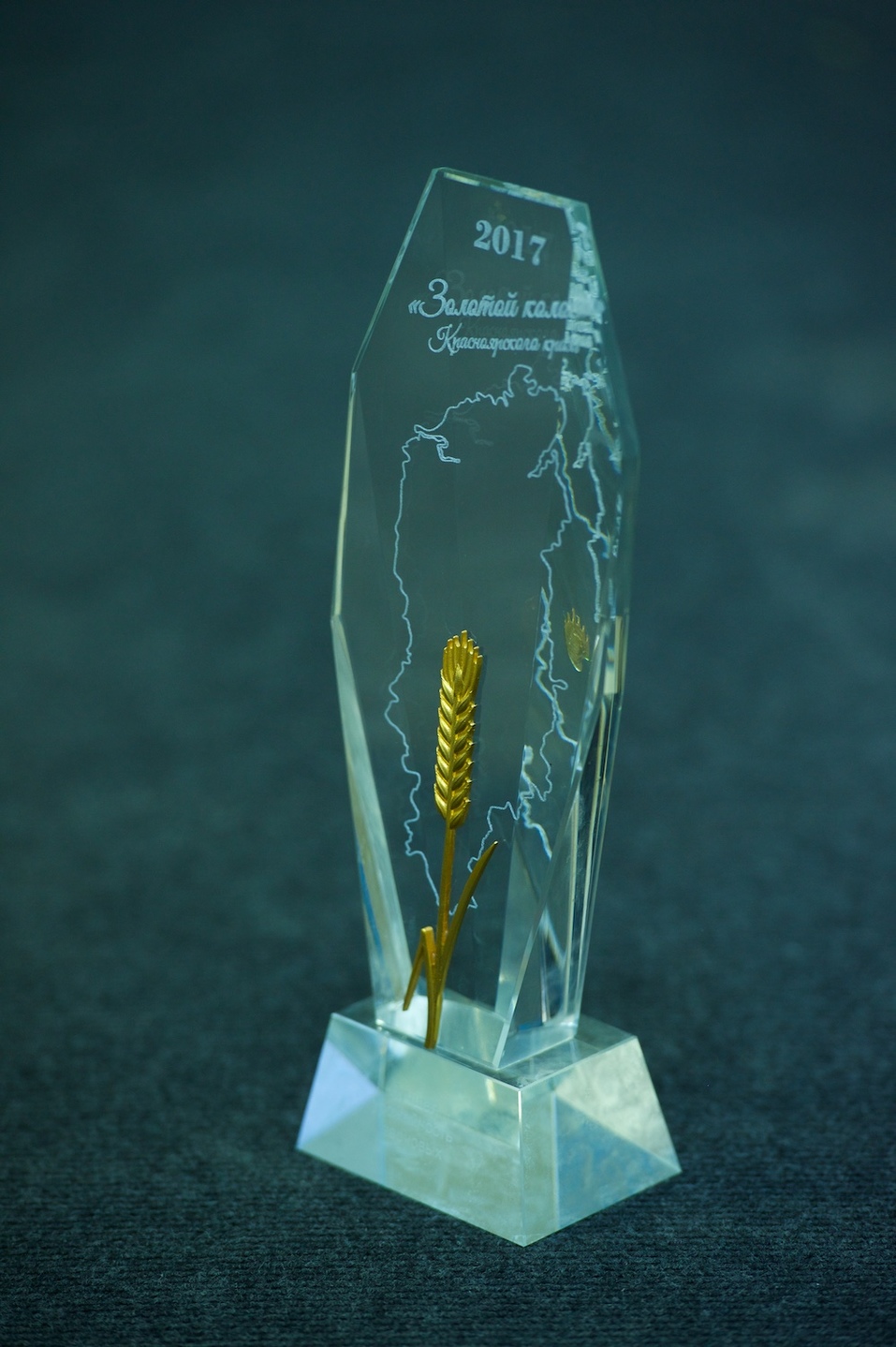 Агрофирма «Учумская» получила «Золотой колос» 1 Агрофирма «Учумская» получила «Золотой колос» 1