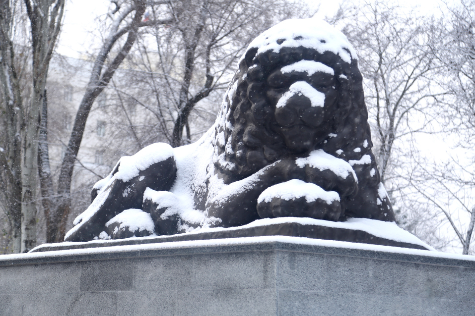 В Ростове выпал первый снег ФОТОРЕПОРТАЖ 3 В Ростове выпал первый снег ФОТОРЕПОРТАЖ 3