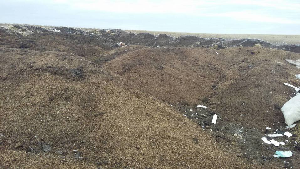 «Продаем за бесценок!» Южноуральские фермеры оказались на грани банкротства 1 «Продаем за бесценок!» Южноуральские фермеры оказались на грани банкротства 1