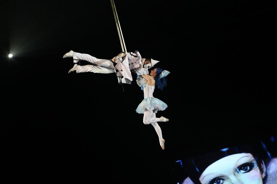 Нижегородскому цирку присвоено имя первой в мире укротительницы тигров 7 Нижегородскому цирку присвоено имя первой в мире укротительницы тигров 7