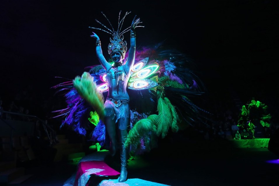 Нижегородскому цирку присвоено имя первой в мире укротительницы тигров 8 Нижегородскому цирку присвоено имя первой в мире укротительницы тигров 8