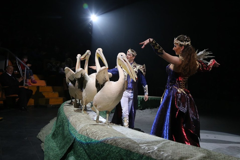 Нижегородскому цирку присвоено имя первой в мире укротительницы тигров 9