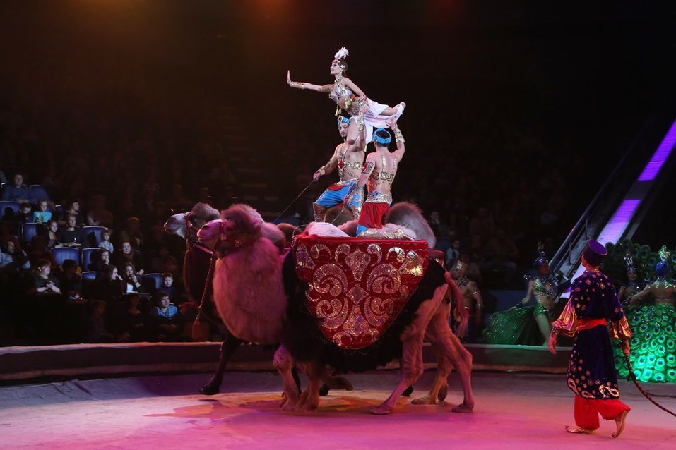 Нижегородскому цирку присвоено имя первой в мире укротительницы тигров 10