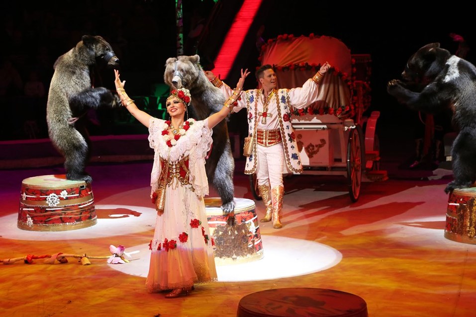 Нижегородскому цирку присвоено имя первой в мире укротительницы тигров 12 Нижегородскому цирку присвоено имя первой в мире укротительницы тигров 12