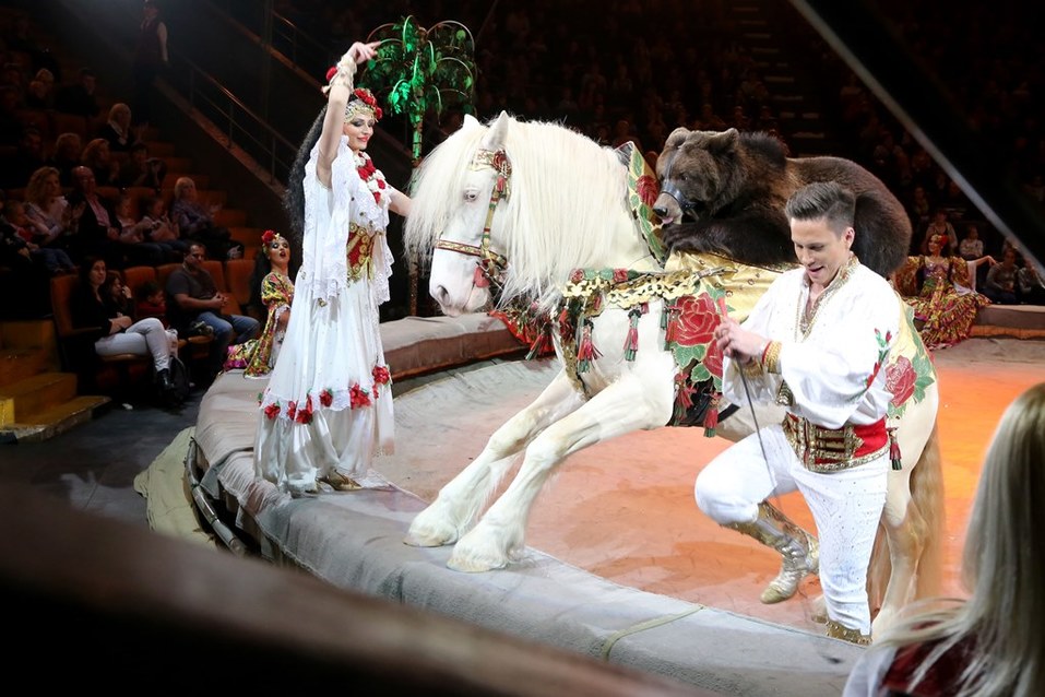 Нижегородскому цирку присвоено имя первой в мире укротительницы тигров 13