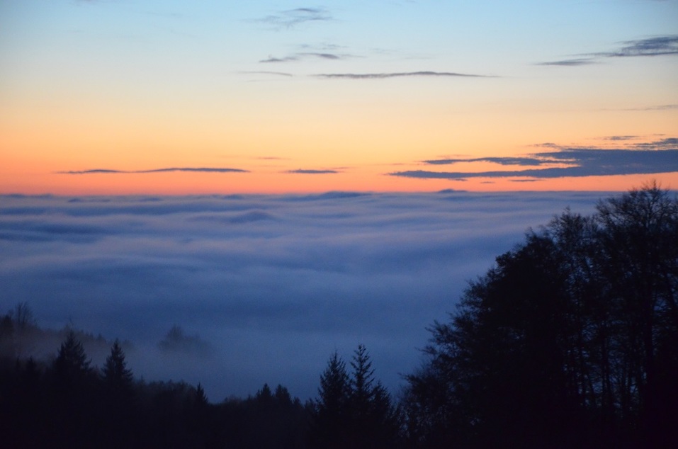 DK.RU протестировал Kodiaq. День первый: в туманах Шварцвальда 9 DK.RU протестировал Kodiaq. День первый: в туманах Шварцвальда 9