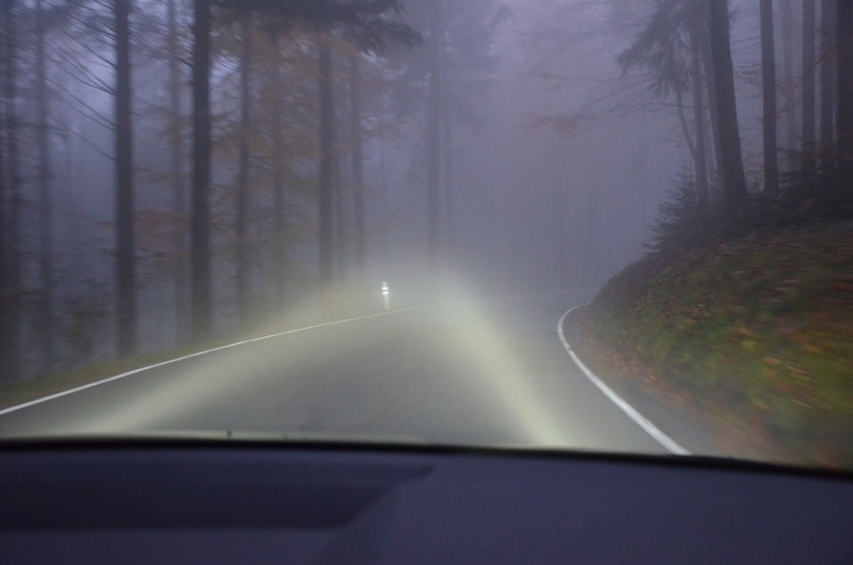 DK.RU протестировал Kodiaq. День первый: в туманах Шварцвальда 8 DK.RU протестировал Kodiaq. День первый: в туманах Шварцвальда 8