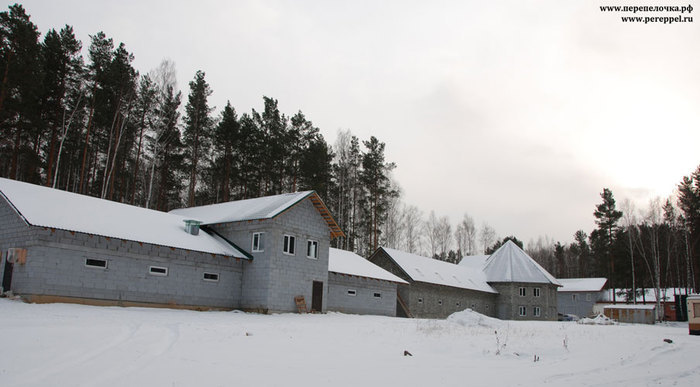 Цена упала в два раза. В Екатеринбурге продают крупнейшую перепелиную ферму 1 Цена упала в два раза. В Екатеринбурге продают крупнейшую перепелиную ферму 1