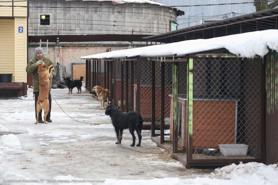 Издатель Владимир Гройсман: «Уровень сострадания не зависит от уровня дохода» 2 Издатель Владимир Гройсман: «Уровень сострадания не зависит от уровня дохода» 2
