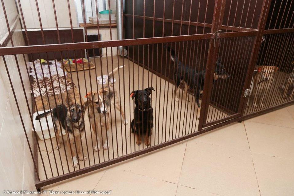 Издатель Владимир Гройсман: «Уровень сострадания не зависит от уровня дохода» 3 Издатель Владимир Гройсман: «Уровень сострадания не зависит от уровня дохода» 3