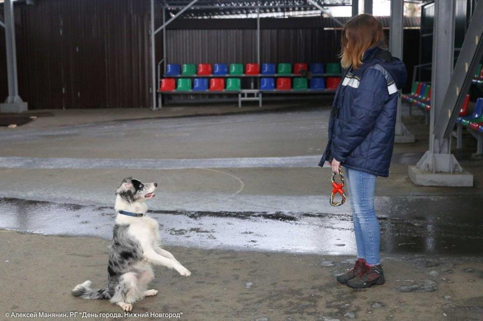 Издатель Владимир Гройсман: «Уровень сострадания не зависит от уровня дохода» 4 Издатель Владимир Гройсман: «Уровень сострадания не зависит от уровня дохода» 4