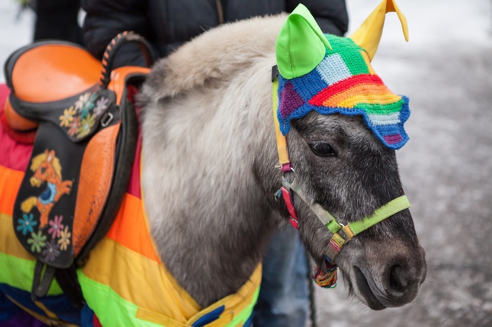 «Горьковская Ёлка» в Гранд Отеле «Ока» открыта 13 «Горьковская Ёлка» в Гранд Отеле «Ока» открыта 13