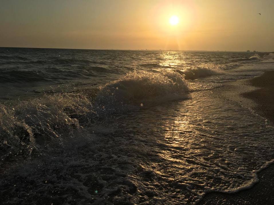 Как бросить карьеру и открыть успешный бизнес в Крыму. ОПЫТ Анны Коряковой 5 Как бросить карьеру и открыть успешный бизнес в Крыму. ОПЫТ Анны Коряковой 5