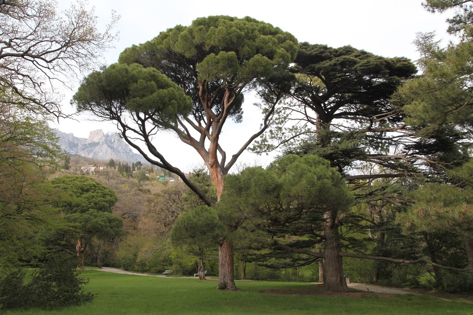 Как бросить карьеру и открыть успешный бизнес в Крыму. ОПЫТ Анны Коряковой 7 Как бросить карьеру и открыть успешный бизнес в Крыму. ОПЫТ Анны Коряковой 7