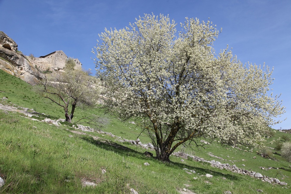 Как бросить карьеру и открыть успешный бизнес в Крыму. ОПЫТ Анны Коряковой 8 Как бросить карьеру и открыть успешный бизнес в Крыму. ОПЫТ Анны Коряковой 8