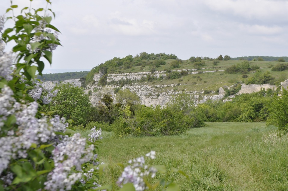 Как бросить карьеру и открыть успешный бизнес в Крыму. ОПЫТ Анны Коряковой 9 Как бросить карьеру и открыть успешный бизнес в Крыму. ОПЫТ Анны Коряковой 9
