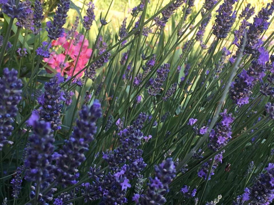 Как бросить карьеру и открыть успешный бизнес в Крыму. ОПЫТ Анны Коряковой 10 Как бросить карьеру и открыть успешный бизнес в Крыму. ОПЫТ Анны Коряковой 10