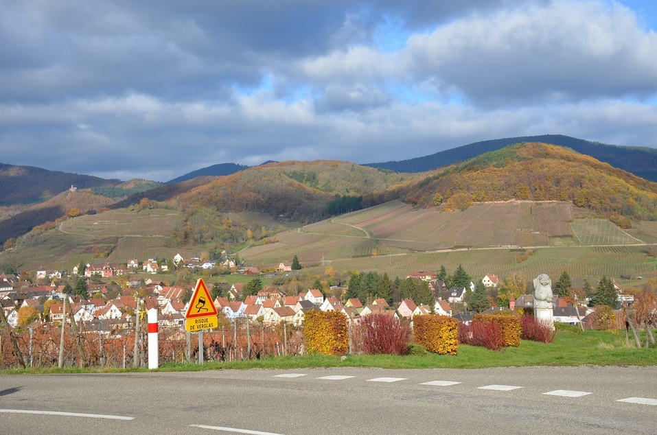 Как DK.RU и ŠKODA покоряли Эльзасский винный путь и автобаны. День 2 4 Как DK.RU и ŠKODA покоряли Эльзасский винный путь и автобаны. День 2 4