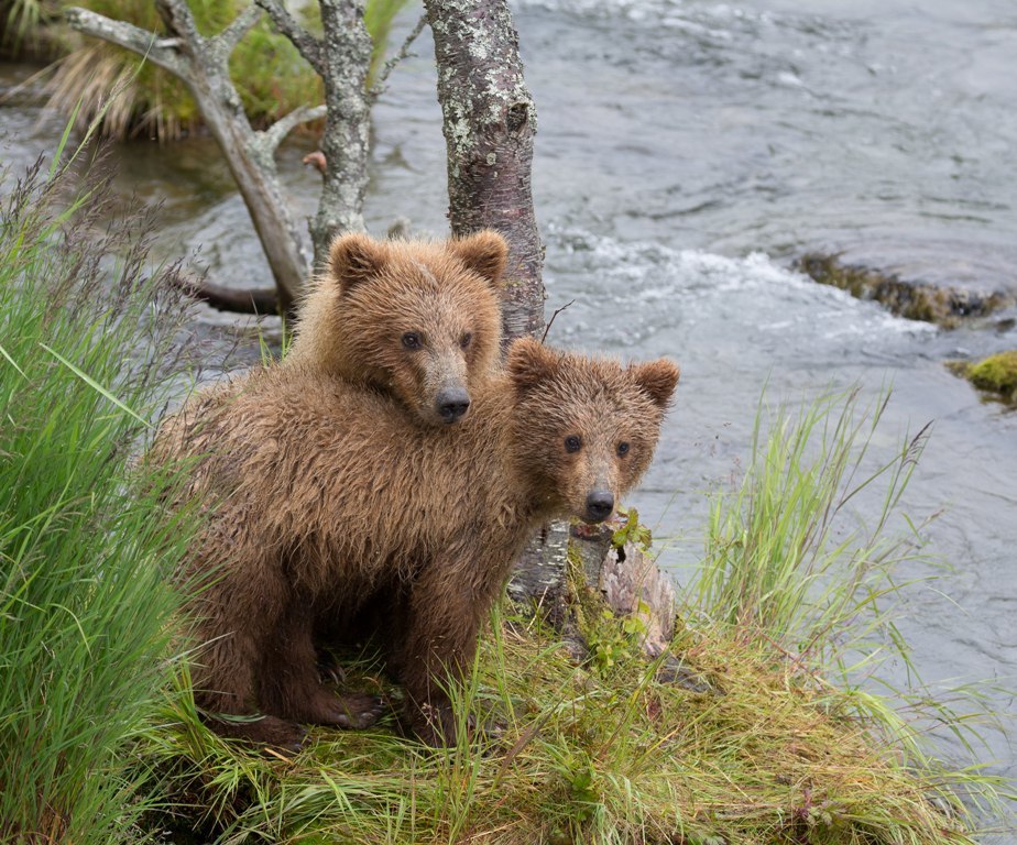 Где отдохнуть в январские праздники. Афиша Нижнего Новгорода 1 Где отдохнуть в январские праздники. Афиша Нижнего Новгорода 1