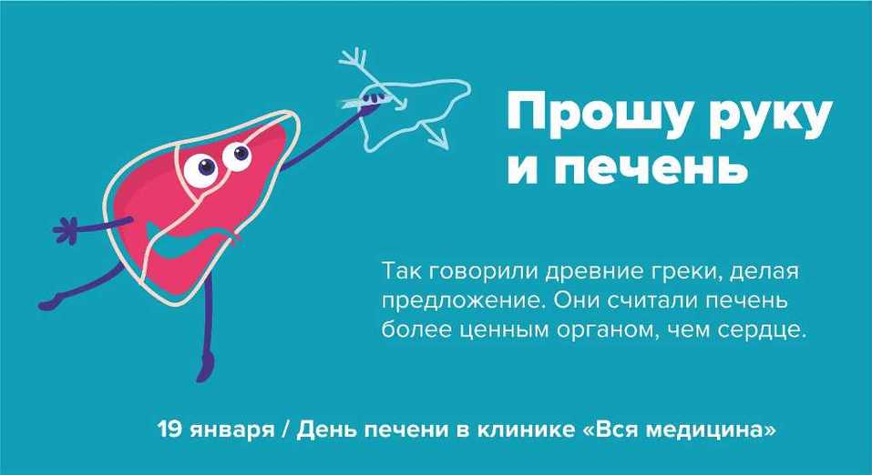 "Прошу руку и печень". В клинике "Вся медицина" 19 января назван Днем печени 1 "Прошу руку и печень". В клинике "Вся медицина" 19 января назван Днем печени 1