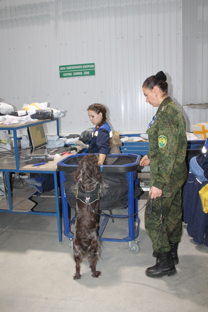 Почта России, Новосибирская таможня и Толмачево обработали рекордное число посылок 7 Почта России, Новосибирская таможня и Толмачево обработали рекордное число посылок 7