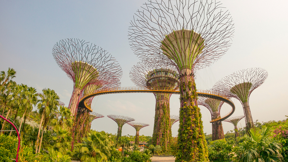 Хотите жить хорошо? Забудьте о свободе. Как Сингапур стал чудо-городом 1 Хотите жить хорошо? Забудьте о свободе. Как Сингапур стал чудо-городом 1