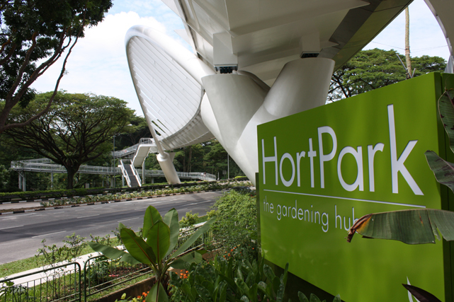 Хотите жить хорошо? Забудьте о свободе. Как Сингапур стал чудо-городом 7 Хотите жить хорошо? Забудьте о свободе. Как Сингапур стал чудо-городом 7