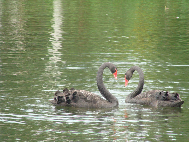 Дайджест DK.RU: новая развязка на Гордеевке и дело в отношении сотрудников минстроя 2 Дайджест DK.RU: новая развязка на Гордеевке и дело в отношении сотрудников минстроя 2