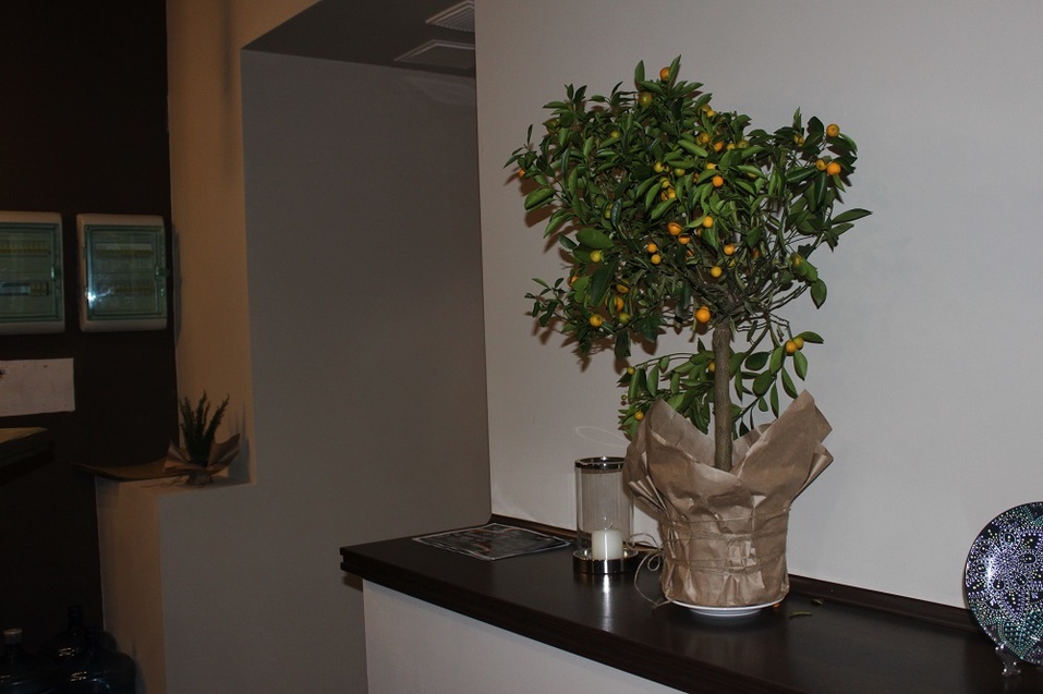 «Русская жизнь – здесь». Как итальянцы открыли ресторан в Челябинске. ОПЫТ 6 «Русская жизнь – здесь». Как итальянцы открыли ресторан в Челябинске. ОПЫТ 6