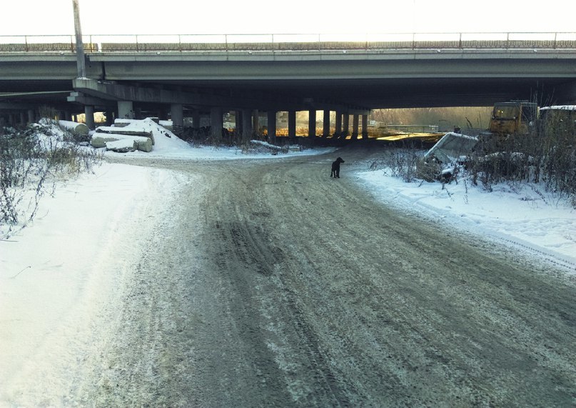 «Захотим увидеть конгресс-холл, но нас встретит Детройт», — мнение о развязке в Челябинске 3 «Захотим увидеть конгресс-холл, но нас встретит Детройт», — мнение о развязке в Челябинске 3
