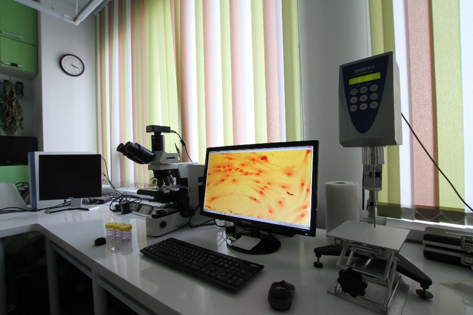 Отвар трав и желтые уточки. Что скрывается за дверями «Калины» после сделки с Unilever
16 Отвар трав и желтые уточки. Что скрывается за дверями «Калины» после сделки с Unilever
16