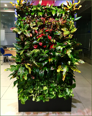 Цвет офисной жизни 1 Цвет офисной жизни 1