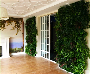 Цвет офисной жизни 3 Цвет офисной жизни 3