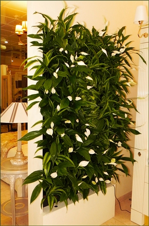 Цвет офисной жизни 2 Цвет офисной жизни 2