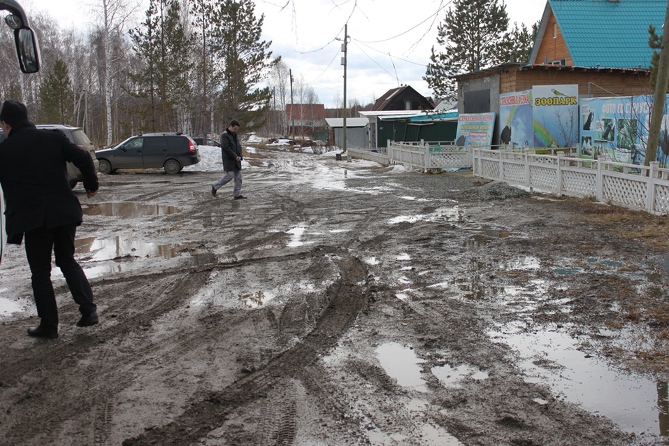 Твое собачье дело: как живет «звериный» бизнес в Челябинской области 6 Твое собачье дело: как живет «звериный» бизнес в Челябинской области 6