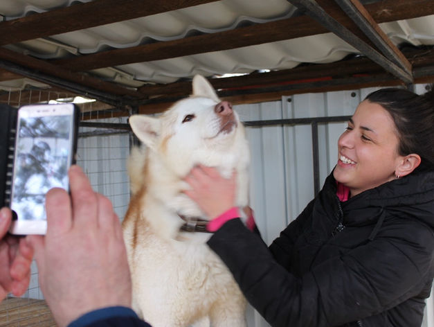 Одольский о проверках ТРК. Застой в политике и рынке. Бизнес на животных. ДАЙДЖЕСТ 5 Одольский о проверках ТРК. Застой в политике и рынке. Бизнес на животных. ДАЙДЖЕСТ 5