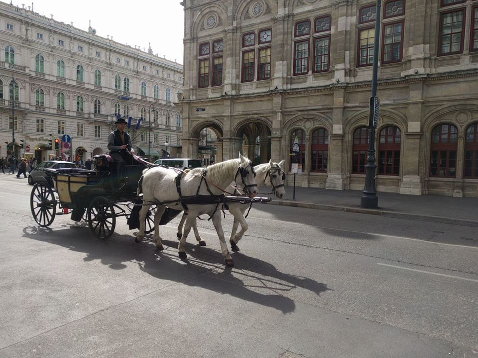5 вещей, которые необходимо сделать в Вене, и лучшее место для признаний в Зальцбурге! 5 5 вещей, которые необходимо сделать в Вене, и лучшее место для признаний в Зальцбурге! 5