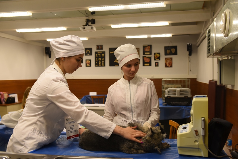 В ДГТУ прошел вузовский чемпионат по стандартам WorldSkills Russia 2 В ДГТУ прошел вузовский чемпионат по стандартам WorldSkills Russia 2