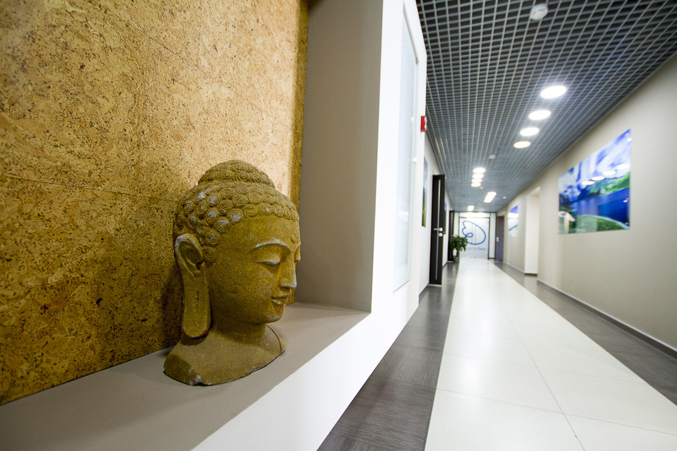 Как формат «гугл-офиса» помогает менять мир. Репортаж из офиса уральской ИТ-компании 9 Как формат «гугл-офиса» помогает менять мир. Репортаж из офиса уральской ИТ-компании 9