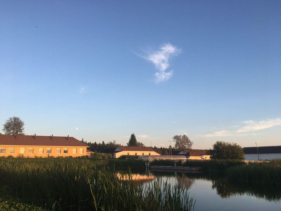 90 млн руб. Уральский бизнесмен продает угодья с отелем, прудом, оленями и медведями 5 90 млн руб. Уральский бизнесмен продает угодья с отелем, прудом, оленями и медведями 5