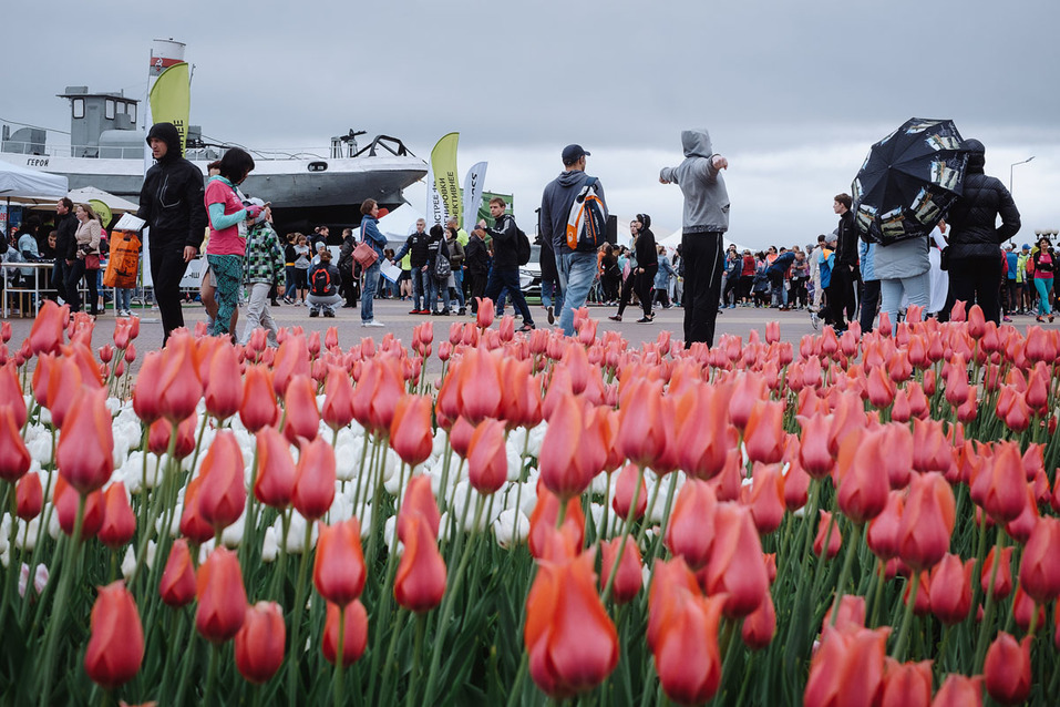 «Пыхтели, но бежали». В Нижнем Новгороде прошел четвертый полумарафон «Беги, герой!». ФОТО 1 «Пыхтели, но бежали». В Нижнем Новгороде прошел четвертый полумарафон «Беги, герой!». ФОТО 1